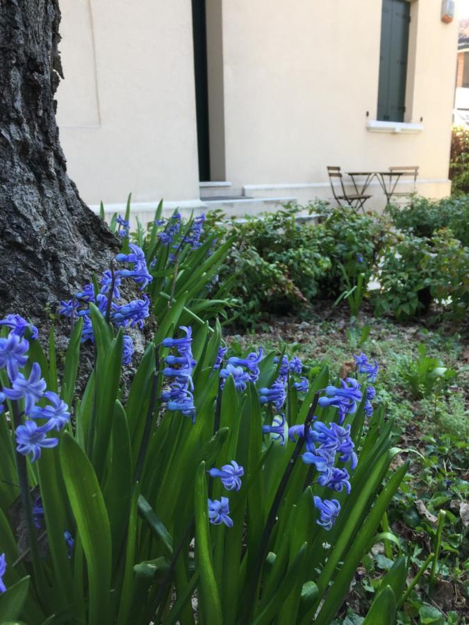 Clara'S Place Apartman Mestre Kültér fotó